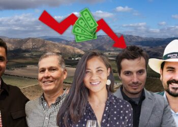 “El Arturito” exhibe el abandono del Valle de Guadalupe; ProVino y ProValle de Baja California convirtieron la región en un “pueblo fantasma”