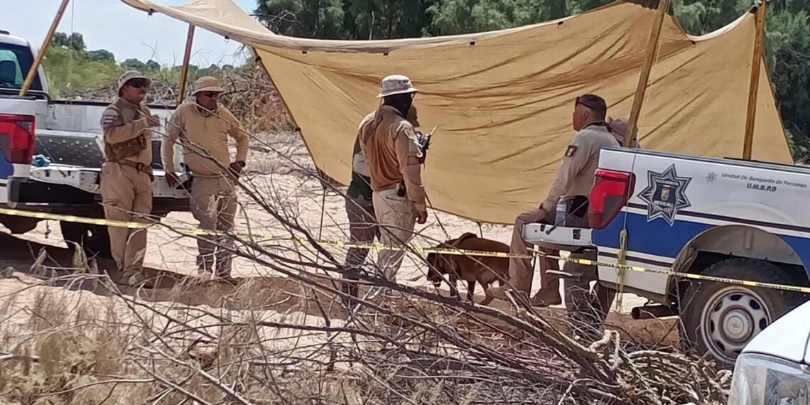 Hallan restos óseos en jornada de búsqueda en el poblado Miguel Alemán