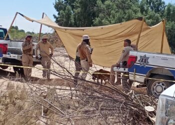 Hallan restos óseos en jornada de búsqueda en el poblado Miguel Alemán