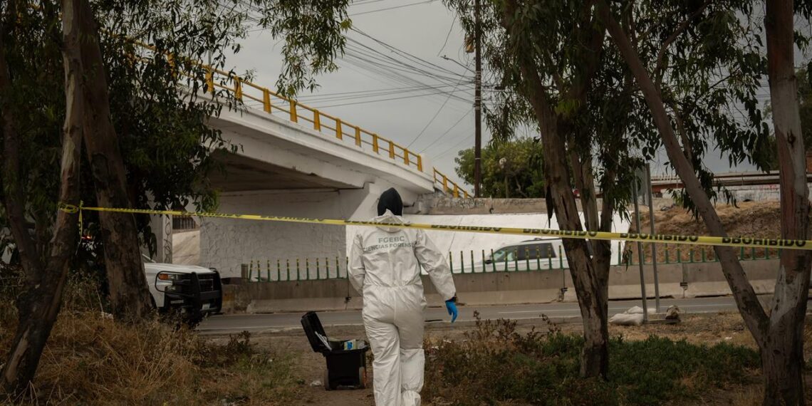 Localizan cuerpo sin vida debajo del puente Kontiki en la carretera escénica Rosarito-Tijuana