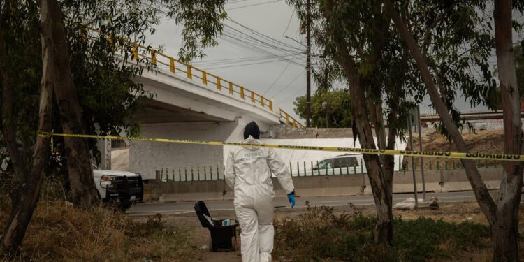 Localizan cuerpo sin vida debajo del puente Kontiki en la carretera escénica Rosarito-Tijuana