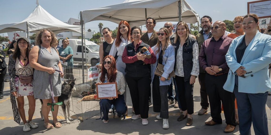 Realizan feria de adopción y vacunación en Playas de Rosarito