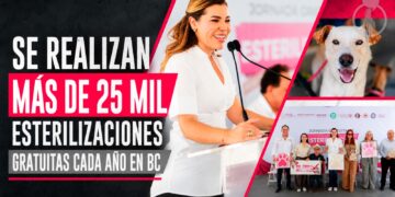 Más de 25 mil esterilizaciones gratuitas se realizan cada año en Baja California