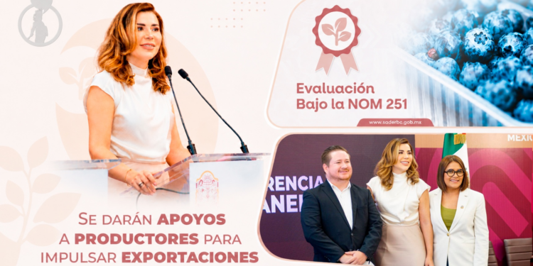 Se dará apoyos de hasta 40 mil pesos a productores para impulsar exportaciones
