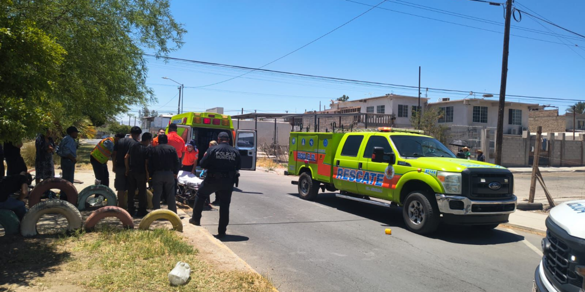 Adulto mayor resulta lesionado tras ataque de pitbull en la colonia Robledo