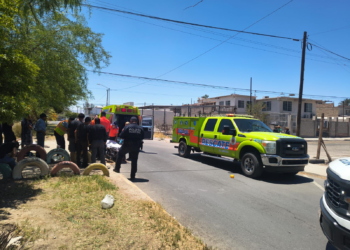 Adulto mayor resulta lesionado tras ataque de pitbull en la colonia Robledo