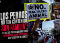 “Los perros no son contenido, son familia”; activistas protestan para exigir información sobre dos perros adoptados por influencer