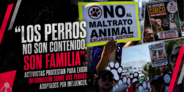 “Los perros no son contenido, son familia”; activistas protestan para exigir información sobre dos perros adoptados por influencer