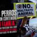 “Los perros no son contenido, son familia”; activistas protestan para exigir información sobre dos perros adoptados por influencer
