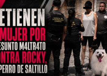 Detienen a mujer por presunto maltrato contra Rocky, el perro en Saltillo