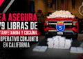 DEA asegura 279 libras de metanfetamina y cocaína en operativo conjunto en California