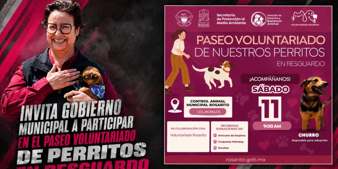 Invita Gobierno Municipal a participar en el Paseo Voluntariado de Perritos en Resguardo