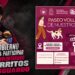 Invita Gobierno Municipal a participar en el Paseo Voluntariado de Perritos en Resguardo