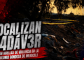 Localizan cadáver con huellas de violencia en la colonia Condesa de Mexicali; aumentan los hechos violentos con cuerpos y ejecuciones en la capital de Baja California