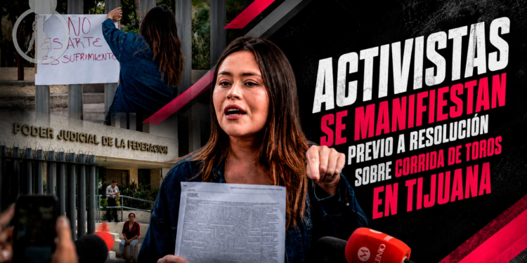 Activistas se manifiestan previo a resolución sobre corrida de toros en Tijuana