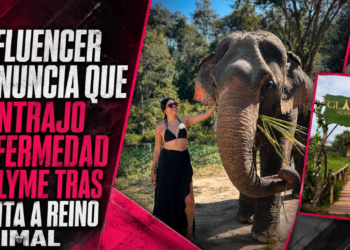 Influencer denuncia que contrajo enfermedad de Lyme tras visita a Reino Animal