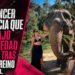 Influencer denuncia que contrajo enfermedad de Lyme tras visita a Reino Animal