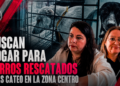 Buscan hogar para perros rescatados tras cateo en la Zona Centro; piden impulsar su adopción