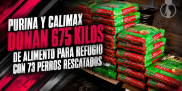 Purina y Calimax donan 675 kilos de alimento para refugio con 73 perros rescatados