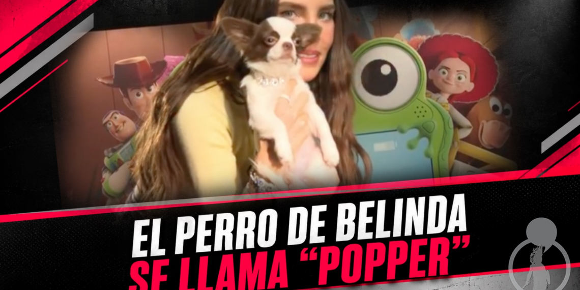 El perro de Belinda se llama “Popper”
