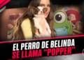 El perro de Belinda se llama “Popper”