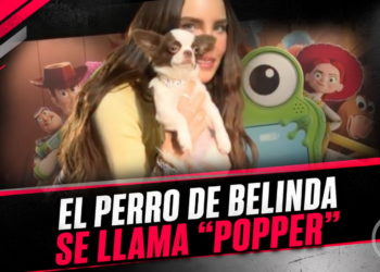 El perro de Belinda se llama “Popper”
