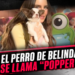 El perro de Belinda se llama “Popper”