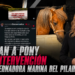 Rescatan a pony tras intervención de la gobernadora Marina del Pilar