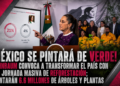¡México se pintará de verde! Sheinbaum convoca a transformar el país con una jornada masiva de reforestación; plantarán 6.6 millones de árboles y plantas