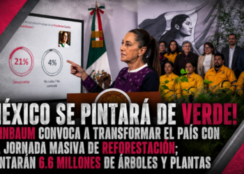 ¡México se pintará de verde! Sheinbaum convoca a transformar el país con una jornada masiva de reforestación; plantarán 6.6 millones de árboles y plantas
