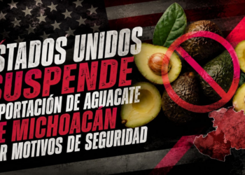 Estados Unidos suspende importación de aguacate de Michoacán por motivos de seguridad