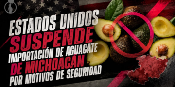 Estados Unidos suspende importación de aguacate de Michoacán por motivos de seguridad