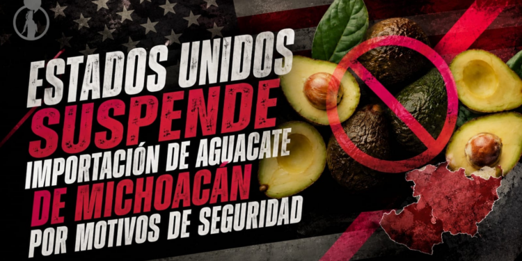 Estados Unidos suspende importación de aguacate de Michoacán por motivos de seguridad