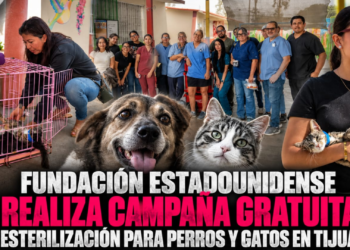 Fundación estadounidense realiza campaña gratuita de esterilización para perros y gatos en Tijuana