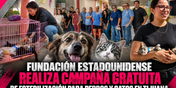 Fundación estadounidense realiza campaña gratuita de esterilización para perros y gatos en Tijuana