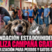 Fundación estadounidense realiza campaña gratuita de esterilización para perros y gatos en Tijuana