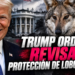 Trump ordena revisar protección de lobos grises