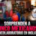Sorprenden a cinco mexicanos en narcolaboratorio en Inglaterra