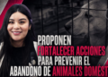 PROPONEN FORTALECER ACCIONES PARA PREVENIR EL ABANDONO DE ANIMALES DOMÉSTICOS