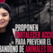 PROPONEN FORTALECER ACCIONES PARA PREVENIR EL ABANDONO DE ANIMALES DOMÉSTICOS