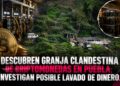 Descubren granja clandestina de criptomonedas en Puebla; investigan posible lavado de dinero
