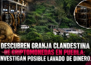 Descubren granja clandestina de criptomonedas en Puebla; investigan posible lavado de dinero