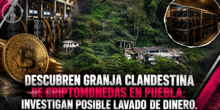 Descubren granja clandestina de criptomonedas en Puebla; investigan posible lavado de dinero