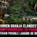Descubren granja clandestina de criptomonedas en Puebla; investigan posible lavado de dinero