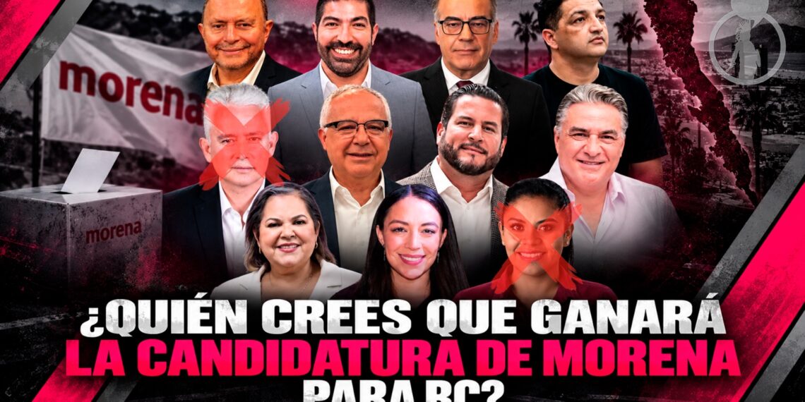 ¿Quién crees que ganará la candidatura de Morena para BC?