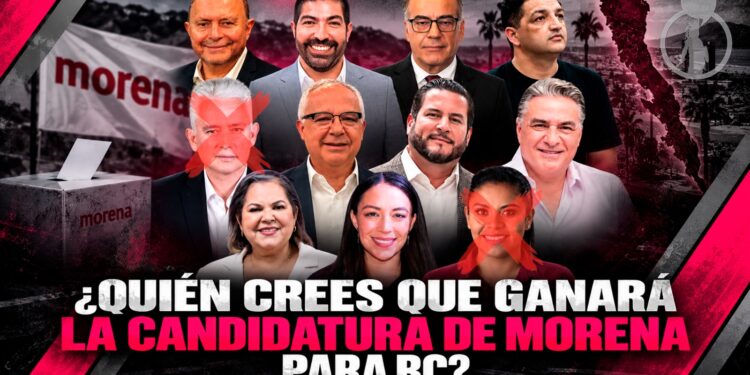 ¿Quién crees que ganará la candidatura de Morena para BC?