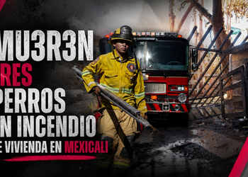 Mueren tres perros en incendio de vivienda en Mexicali; rescatan a uno
