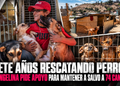 Siete años rescatando perros: Evangelina pide apoyo para mantener a salvo a 74 caninos