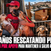 Siete años rescatando perros: Evangelina pide apoyo para mantener a salvo a 74 caninos