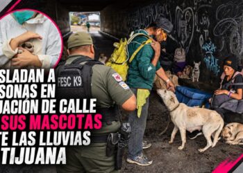 No los dejan atrás: trasladan a personas en situación de calle de la canalización y a sus mascotas ante las lluvias en Tijuana